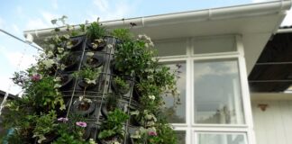 DISEÑO DEL PROYECTO