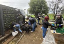 APOYO COMUNICACIONAL