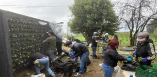 APOYO COMUNICACIONAL