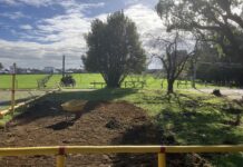 INSTITUTO ADOLFO MATTHEI