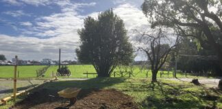 INSTITUTO ADOLFO MATTHEI